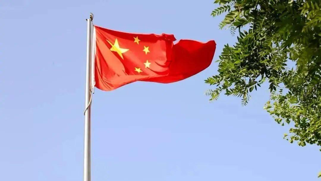 洗地机哪个牌子最好用